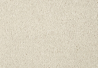 Lounge 251 Magnolia 1 carpet by SmartStrand