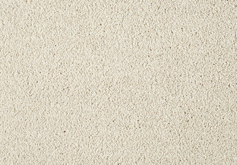 Lounge 251 Magnolia 1 carpet by SmartStrand