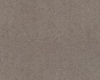 Celeste 261 Camel 1 carpet by SmartStrand