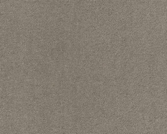 Dream 263 Camel 3 carpet by SmartStrand