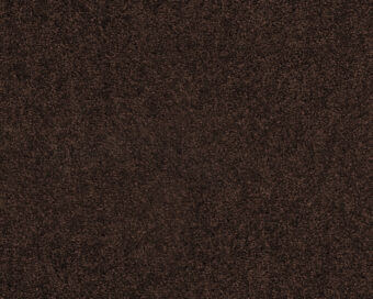 Lounge 283 Havanna 3 carpet by SmartStrand