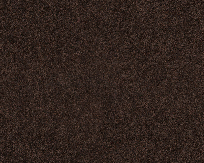 Lounge 283 Havanna 3 carpet by SmartStrand
