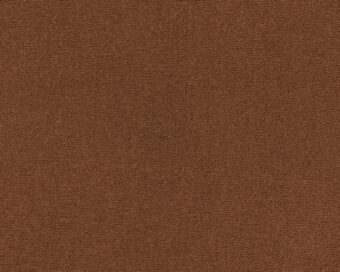 Lior 311 Rust 1 carpet by SmartStrand