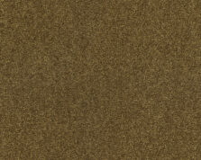 Lounge 384 Bronze 4 carpet by SmartStrand