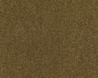 Lounge 384 Bronze 4 carpet by SmartStrand