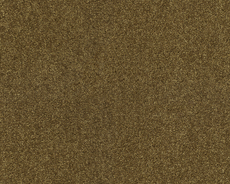 Lounge 384 Bronze 4 carpet by SmartStrand