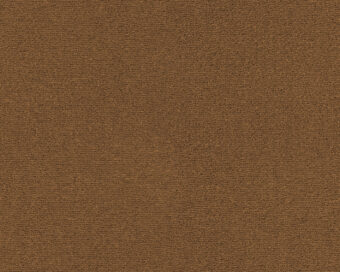 Lior 391 Copper 1 carpet by SmartStrand