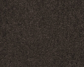 Boheme 401 Coffee 1 carpet by SmartStrand