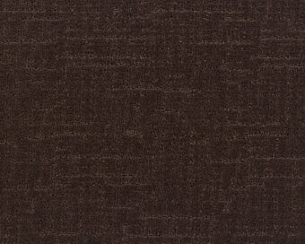 Loft Life Sweet 401 Coffee 1 carpet by SmartStrand