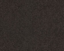 Patina 403 Coffee 3 carpet by SmartStrand