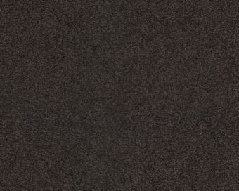 Patina 403 Coffee 3 carpet by SmartStrand