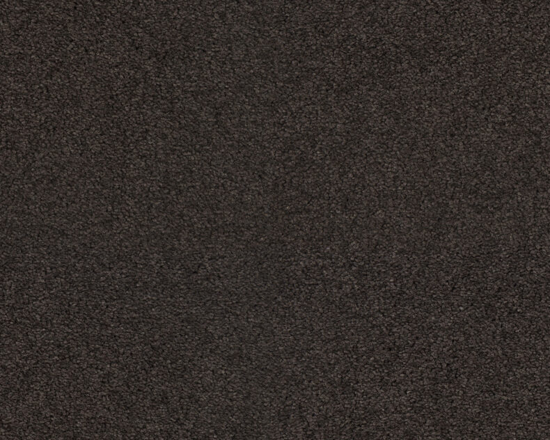 Patina 403 Coffee 3 carpet by SmartStrand