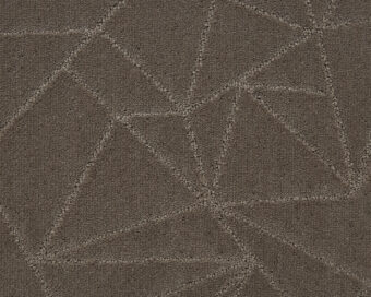 Loft Life Grand 411 Leather 1 carpet by SmartStrand