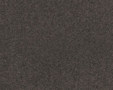 Patina 413 Leather 3 carpet by SmartStrand
