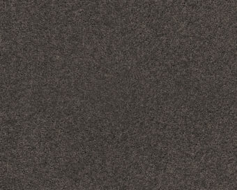 Patina 413 Leather 3 carpet by SmartStrand