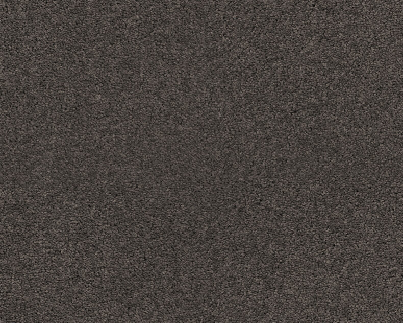 Patina 413 Leather 3 carpet by SmartStrand