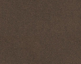 Dream 413 Leather 3 carpet by SmartStrand