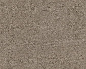 Celeste 421 Cornstalk 1 carpet by SmartStrand
