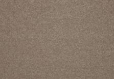 Lounge 430 Sable carpet by SmartStrand