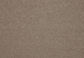 Lounge 430 Sable carpet by SmartStrand