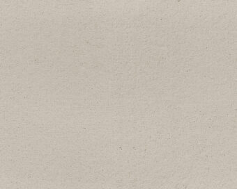 Celeste 441 Ivory 1 carpet by SmartStrand