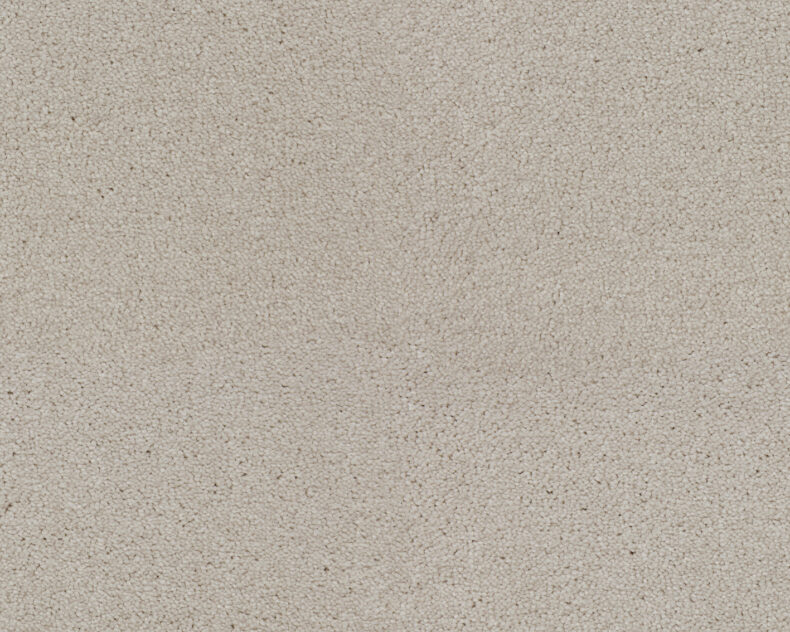 Lounge 444 Ivory 4 carpet by SmartStrand