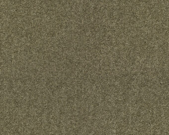Lounge 484 Barley 4 carpet by SmartStrand