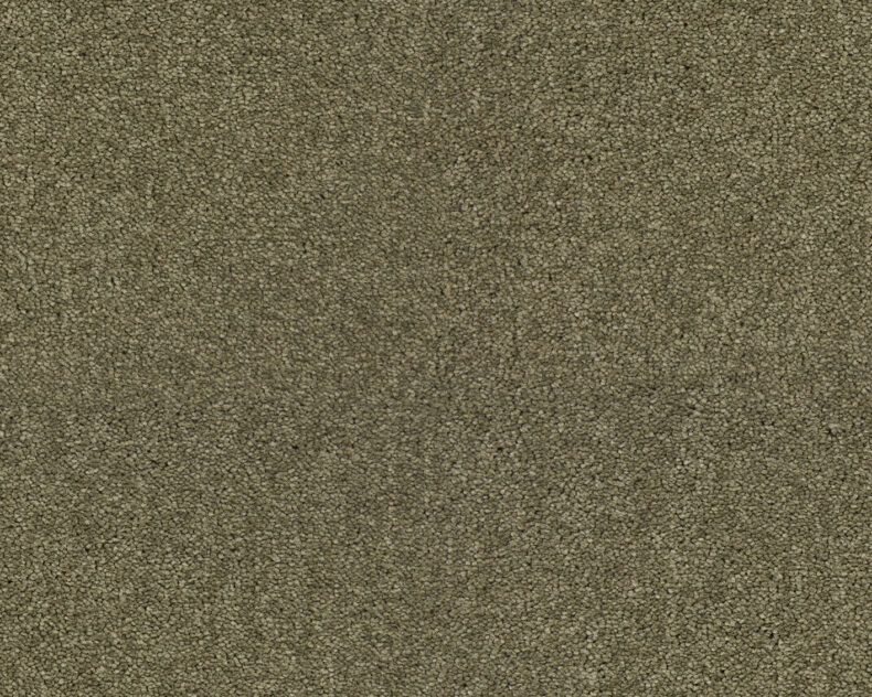 Lounge 484 Barley 4 carpet by SmartStrand
