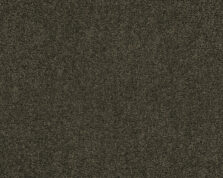 Lounge 493 Stone path 4 carpet by SmartStrand