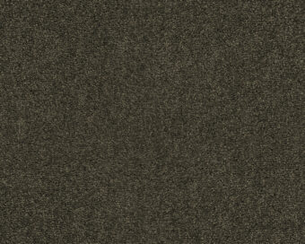 Lounge 493 Stone path 4 carpet by SmartStrand