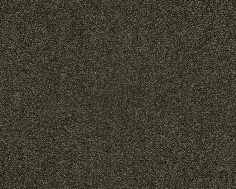 Lounge 493 Stone path 4 carpet by SmartStrand
