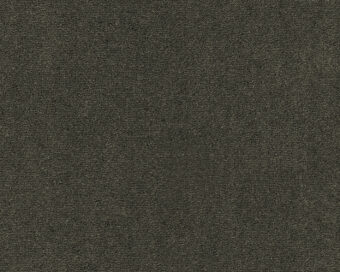 Celeste 501 Olive 1 carpet by SmartStrand