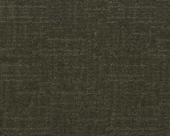 Loft Life Sweet 591 Moss 1 carpet by SmartStrand