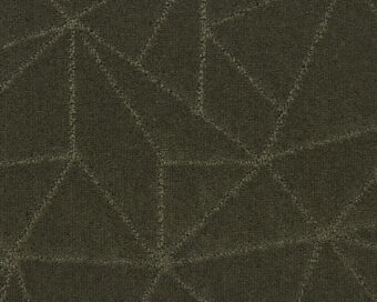 Loft Life Grand 591 Moss 1 carpet by SmartStrand