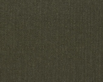 Loft Life Pure 591 Moss 1 carpet by SmartStrand