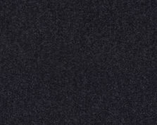 Lounge 793 Midnight 3 carpet by SmartStrand