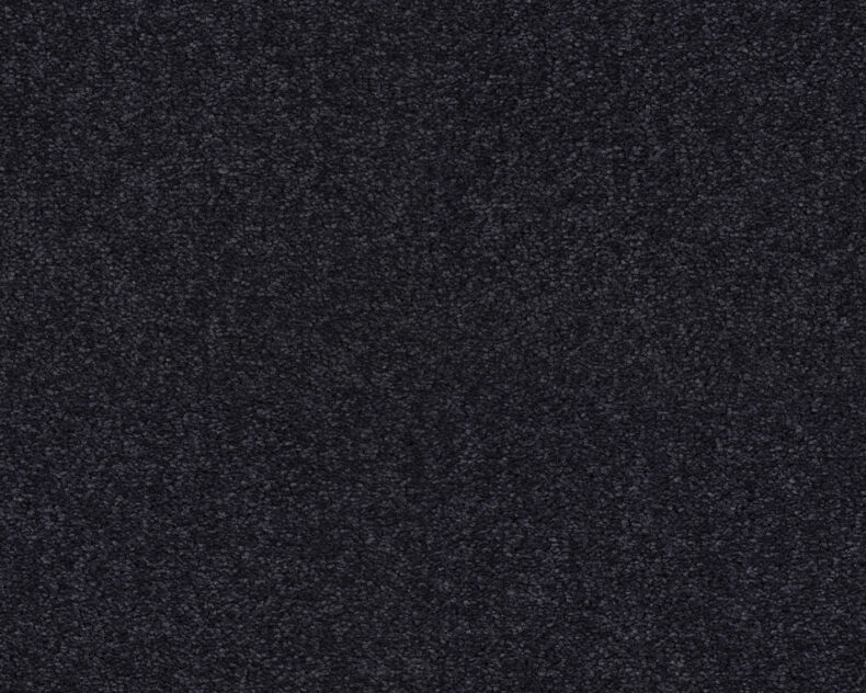 Lounge 793 Midnight 3 carpet by SmartStrand