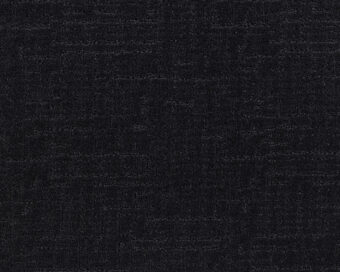 Loft Life Sweet 801 Ebony 1 carpet by SmartStrand