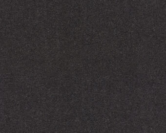 Celeste 811 Charcoal 1 carpet by SmartStrand