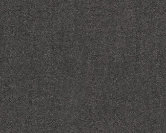 Dream 813 Charcoal 3 carpet by SmartStrand