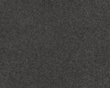 Patina 823 Slate 3 carpet by SmartStrand