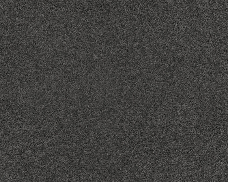Patina 823 Slate 3 carpet by SmartStrand