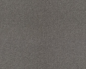 Celeste 831 Ash 1 carpet by SmartStrand
