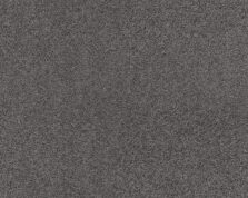 Patina 833 Ash 3 carpet by SmartStrand