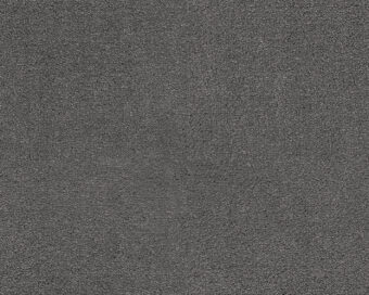 Dream 833 Ash 3 carpet by SmartStrand