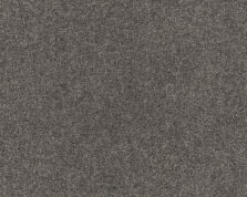 Lounge 834 Ash 4 carpet by SmartStrand