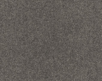 Lounge 834 Ash 4 carpet by SmartStrand