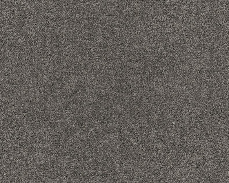 Lounge 834 Ash 4 carpet by SmartStrand