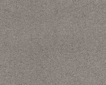 Patina 863 Granite 3 carpet by SmartStrand