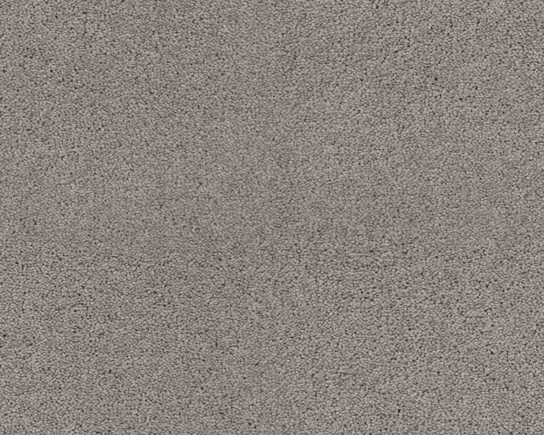 Patina 863 Granite 3 carpet by SmartStrand